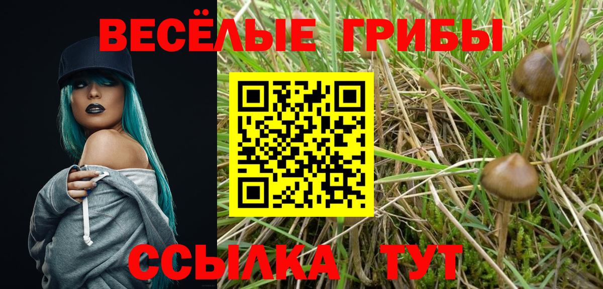 Галлюциногенные грибы мухоморы Великий Новгород